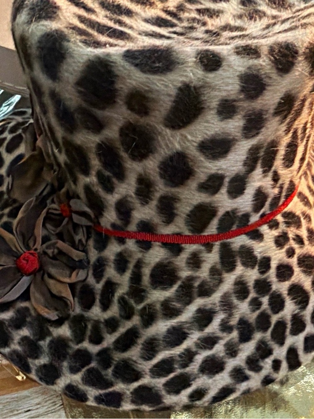 Grevi Leopard-Print Felt Bucket Hat with Red Trim